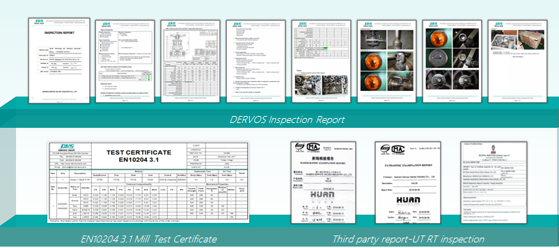 Dervos Inspection Reports for Industrial Valves