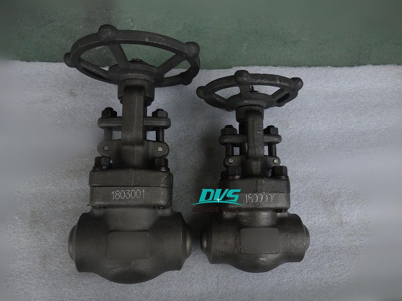 1 inch Solid Wedge Gate Valve