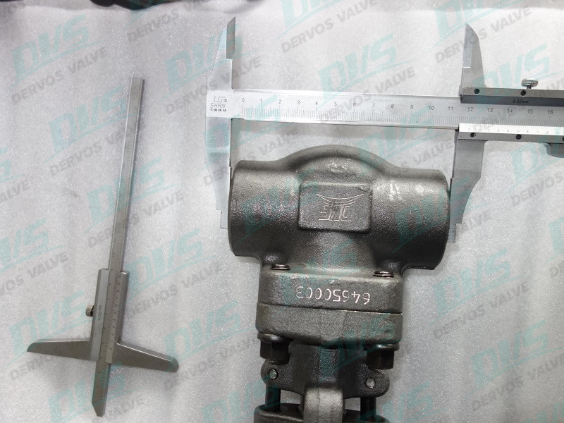 Forged Steel A105 Gate Valve