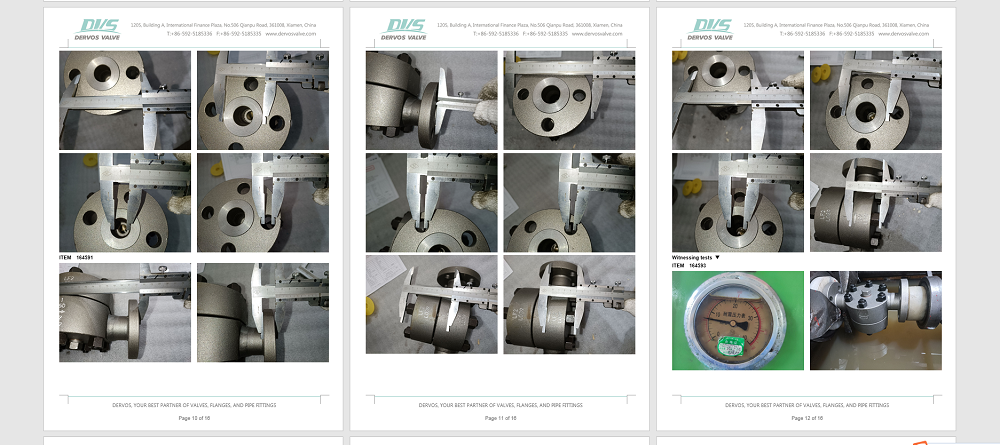 Body LF2 CL1, 1'' 300LB Steam Trap Valve, Thermodynamic Type, RF Connection, GB/T22654