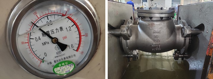 10" 150LB Swing Check Valve, RF Connection, Body WCB, API 6D