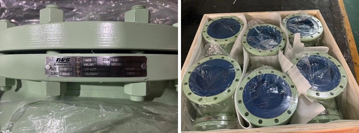 10" 150LB Swing Check Valve, RF Connection, Body WCB, API 6D