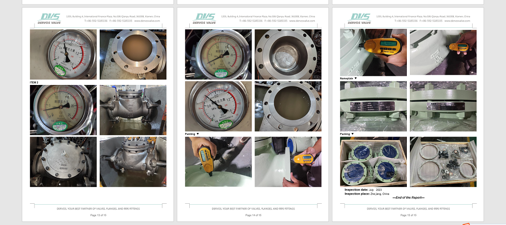 10" 150LB Swing Check Valve, RF Connection, Body WCB, API 6D