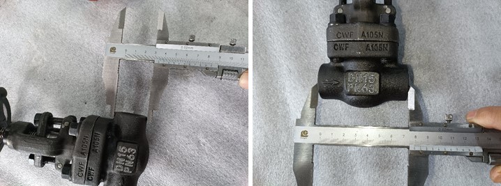 Forged Steel Globe Valve