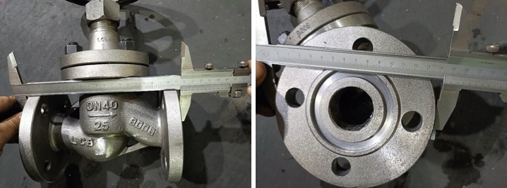 Ammonia Cast Steel Globe Valve