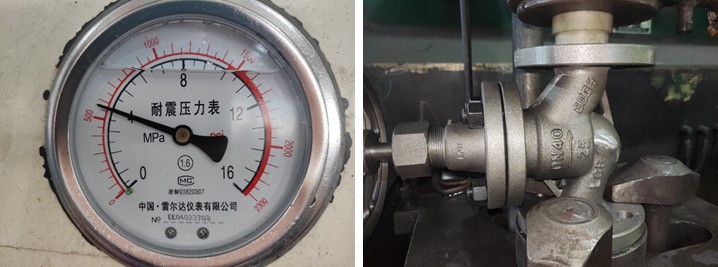 Ammonia Cast Steel Globe Valve