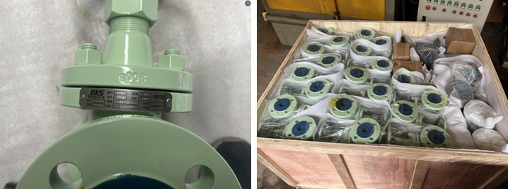 Ammonia Cast Steel Globe Valve