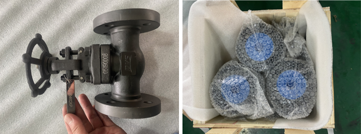 Forged Steel Gate Valve 
