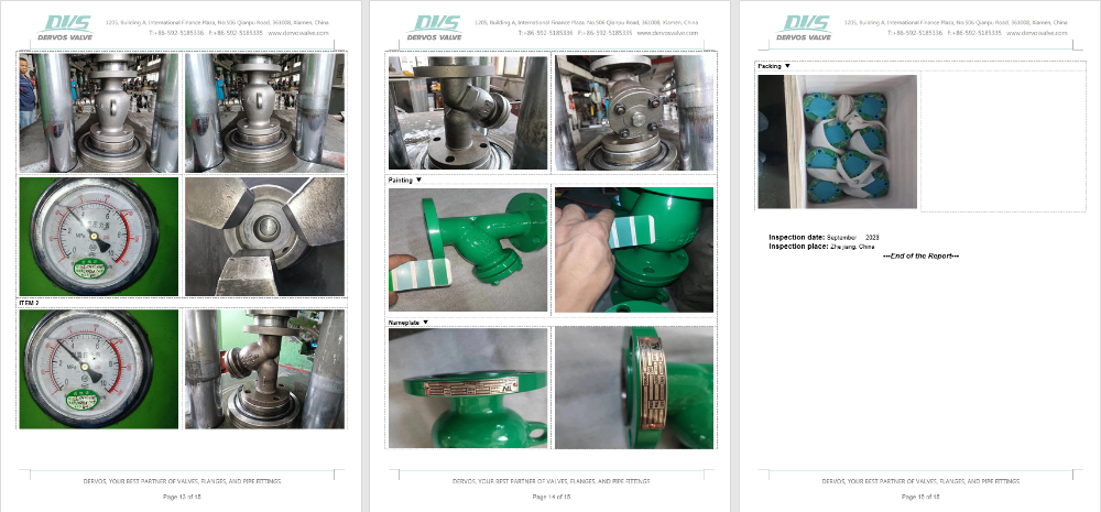 Y Type Strainer