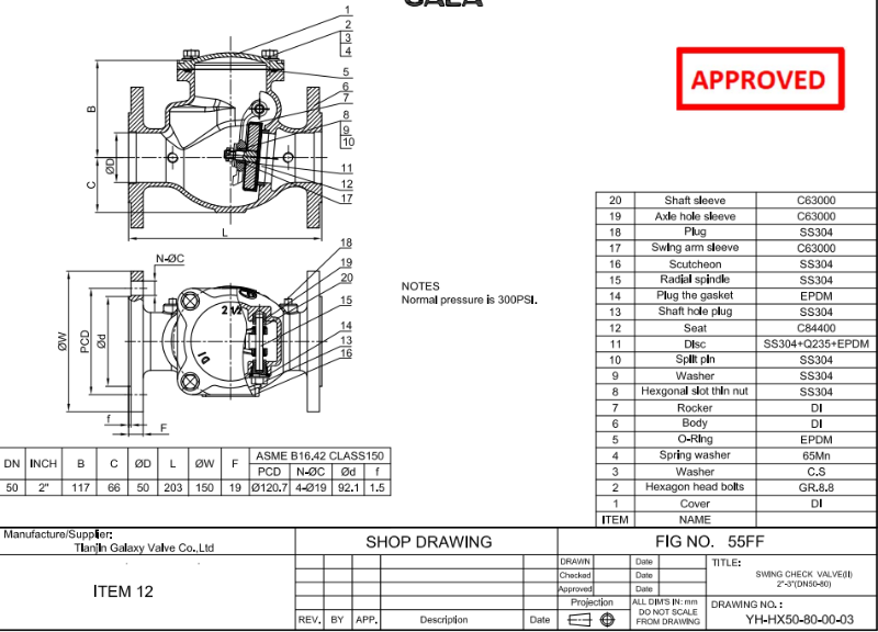 DI Swing Check Valve