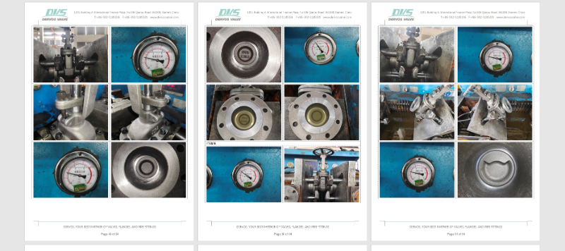 Swing Check Valve