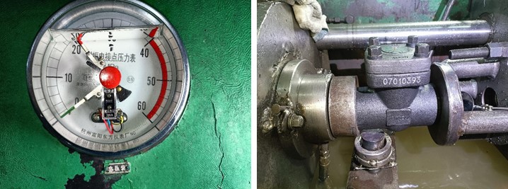 Swing Check Valve