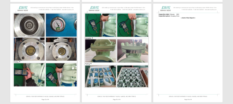 Swing Check Valve