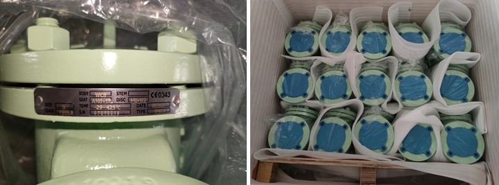 Swing Check Valve