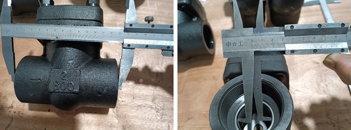 Swing Check Valve