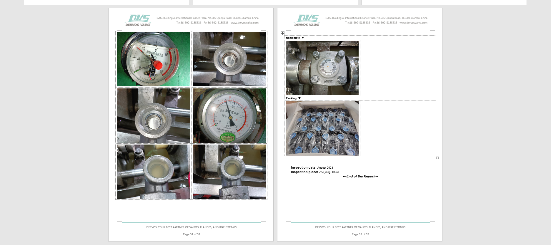 Swing Check Valve