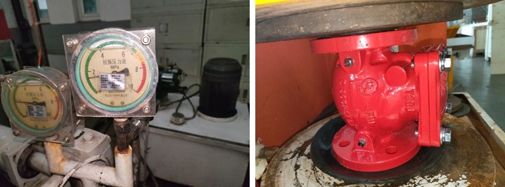 Swing Check Valve