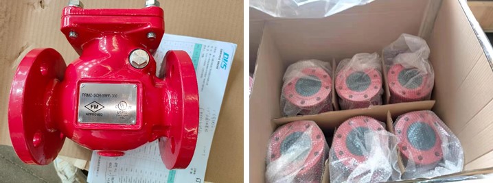 Swing Check Valve