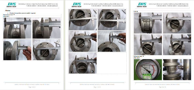 Dual Plate Wafer Type Check Valve