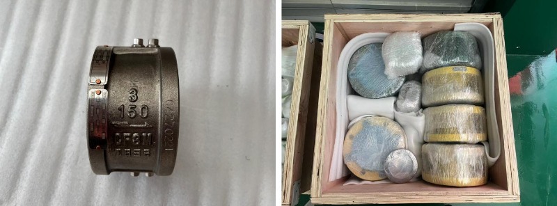 Dual Plate Wafer Type Check Valve