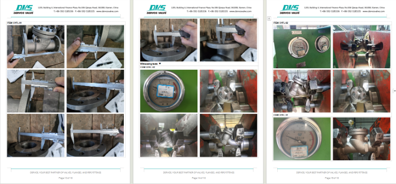 Cast Steel Y Type Strainer