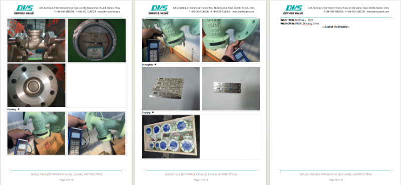 Cast Steel Y Type Strainer