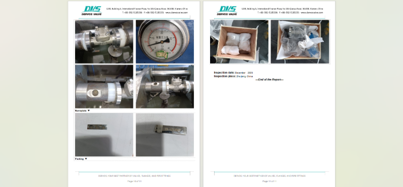 Flange Lift Check Valve