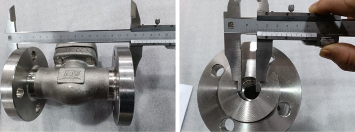 Flange Lift Check Valve