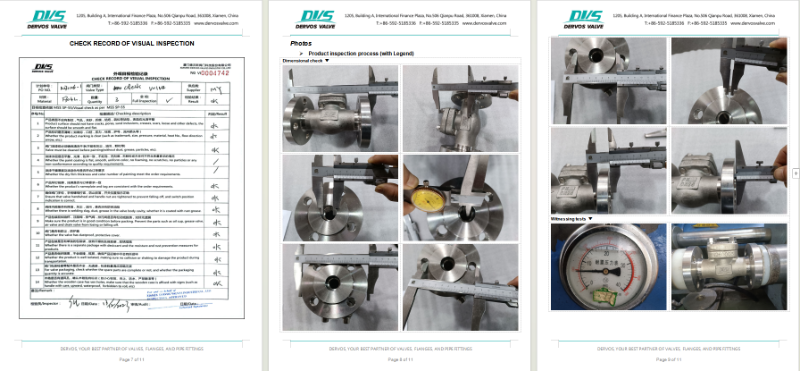 Flange Lift Check Valve