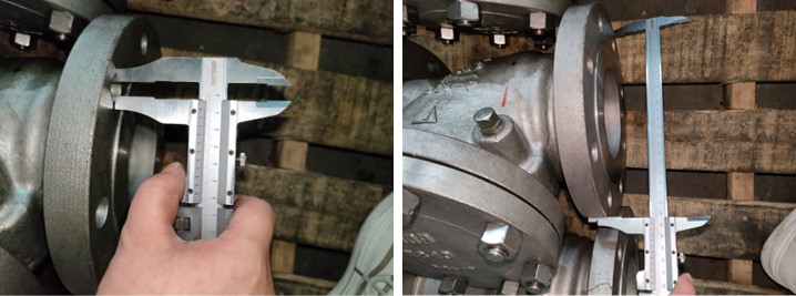 Cast Steel Swing Check Valve