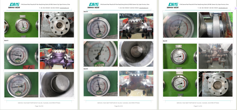 Cast Steel Swing Check Valve