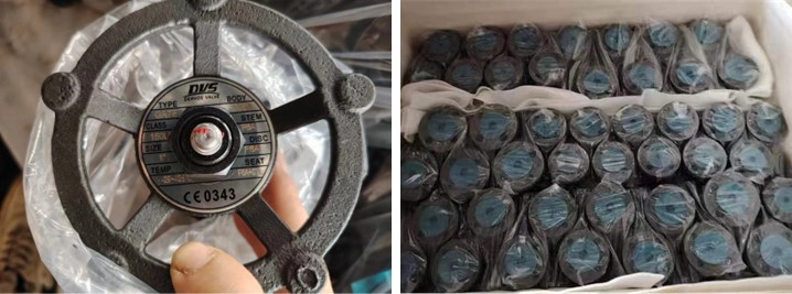 Forged Steel Gate Valve