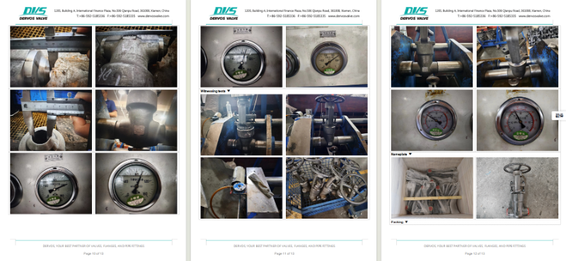 Pressure Seal Bonnet Gate Valve