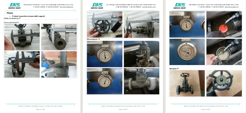 Forged Steel Globe Valve