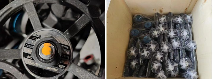 Forged Steel Gate Valve