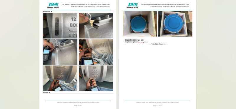 Dual Plate Wafer Check Valve