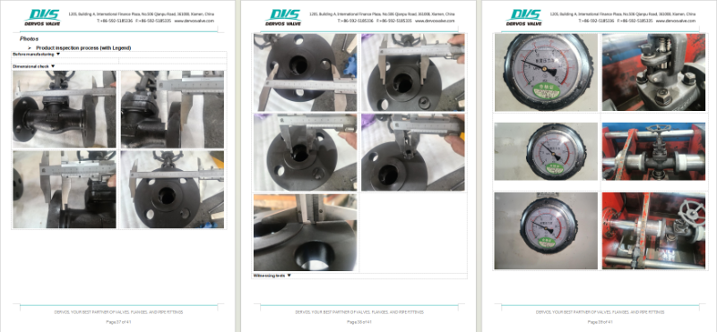 Stainless Steel Globe Valve