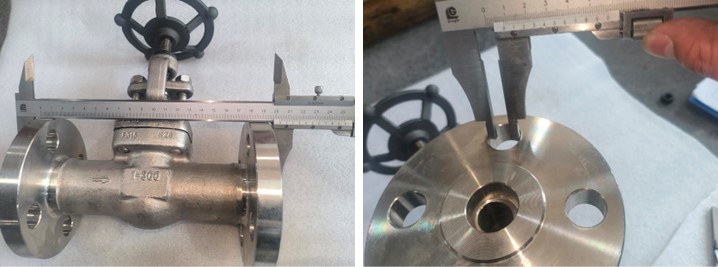 Stainless Steel Globe Valve