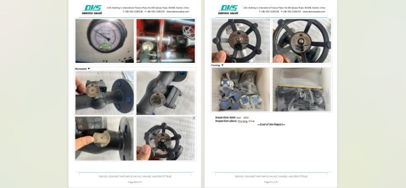 Stainless Steel Globe Valve