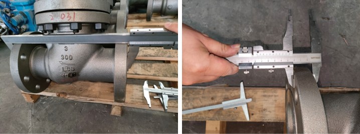 Cast Steel Gate Valve