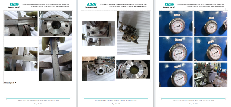 Cast Steel Gate Valve