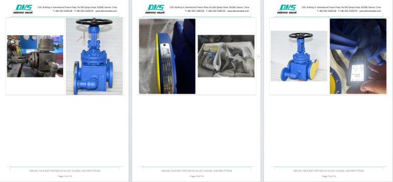 Cast Steel Gate Valve