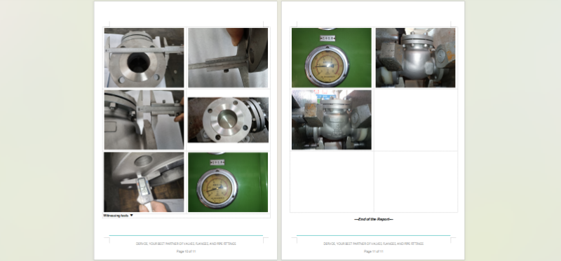 Cast Steel Swing Check Valve