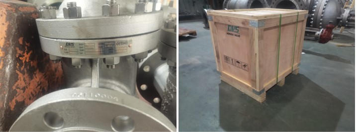 DN100 PN40 Stainless Steel Gate Valve