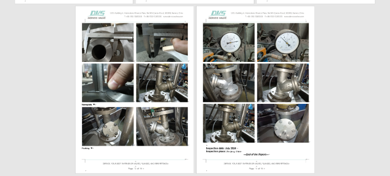 2" 300LB Carbon Steel Y Type Strainer