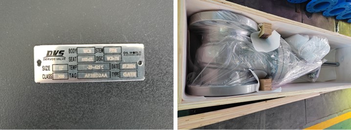  Cast Steel Gate Valve