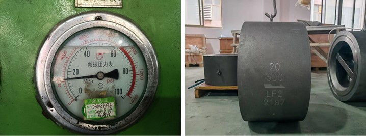 Dual Plate Check Valve