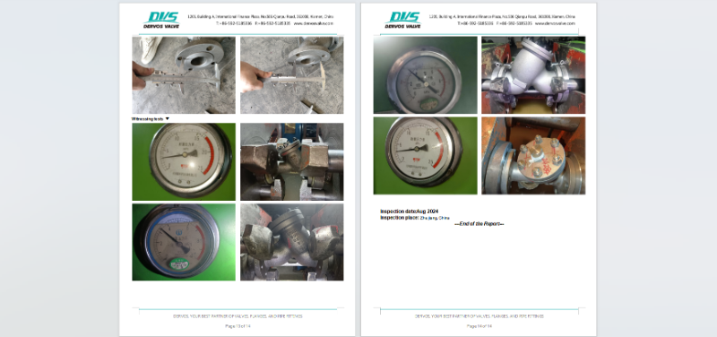 High Quality Cast Steel Y Type-Strainer