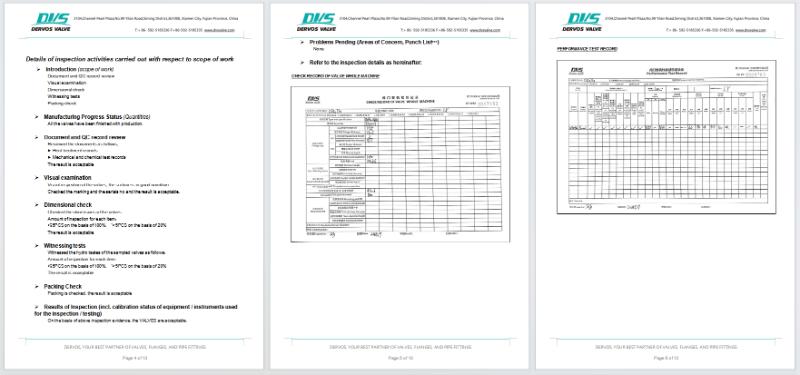 Butterfly Type Non-Slam Check Valve