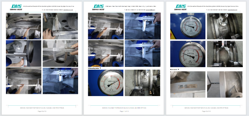 Butterfly Type Non-Slam Check Valve